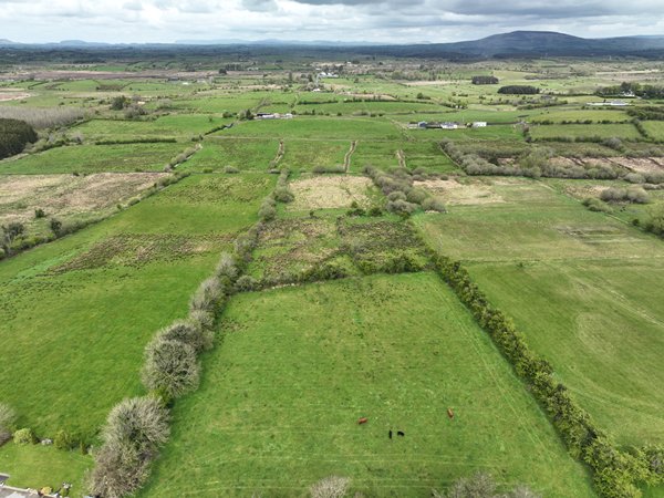 Knocknashamer, Gurteen Co.Sligo F56 N284