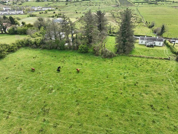 Knocknashamer, Gurteen Co.Sligo F56 N284